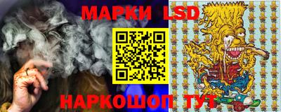 МДПВ Новозыбков