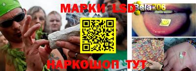 МДПВ Новозыбков