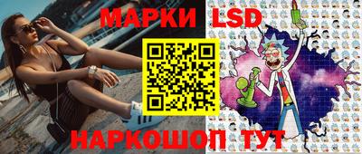 МДПВ Новозыбков