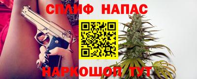 МДПВ Новозыбков