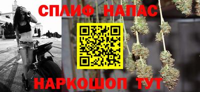 МДПВ Новозыбков