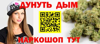 МДПВ Новозыбков