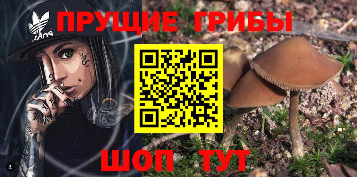 Нягань  ГАШ  A-PVP СОЛЬ   Вход с VPN  Наркошоп  ГАШ  Канабис  Cocaine  МЕФ  