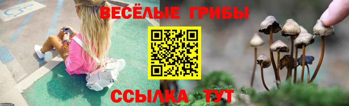 Нягань  Галлюциногенные грибы мицелий  Вход с VPN  Галлюциногенные грибы GOLDEN TEACHER 